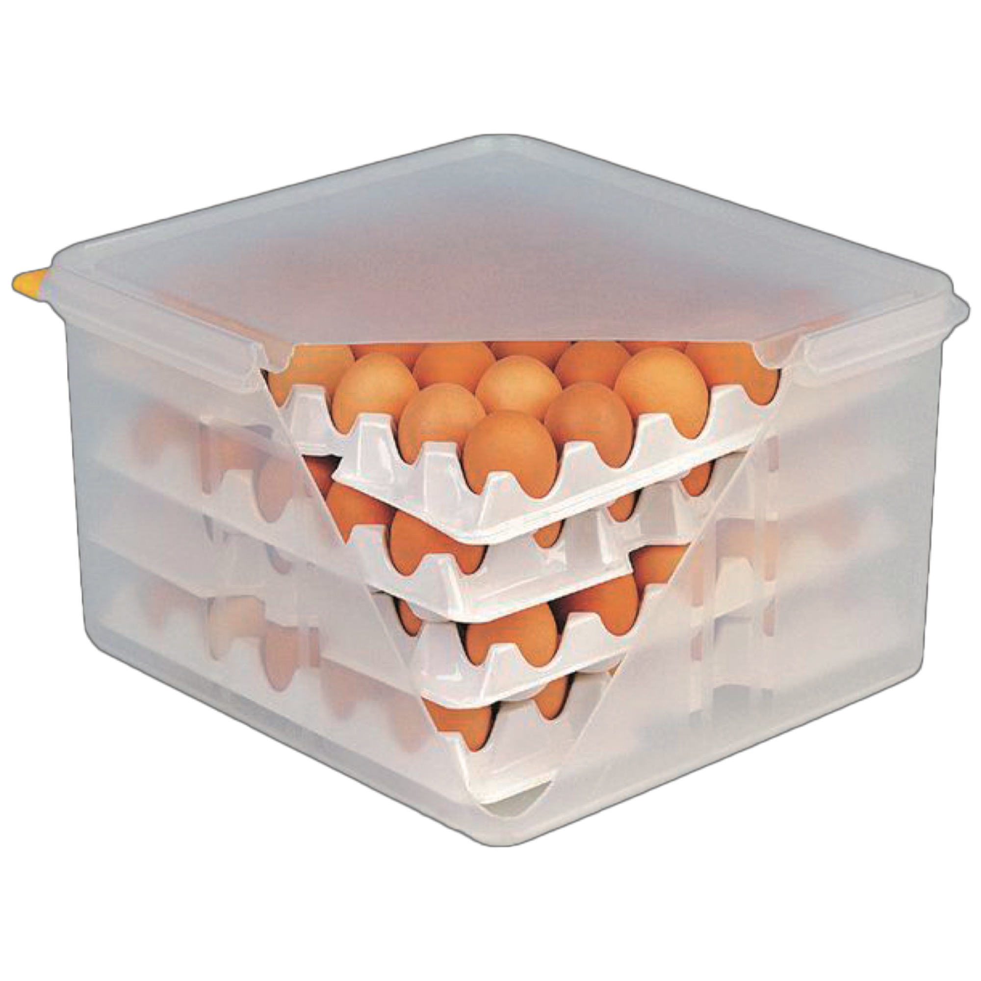 Box na vajcia s vekom 35x32x20cm 4vrst.