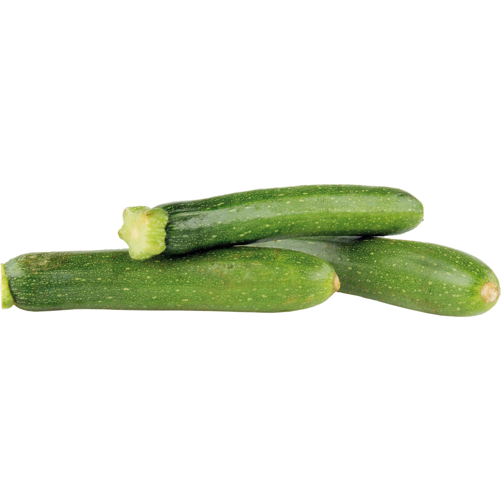 Baby Zucchini grün KL.1       200g
