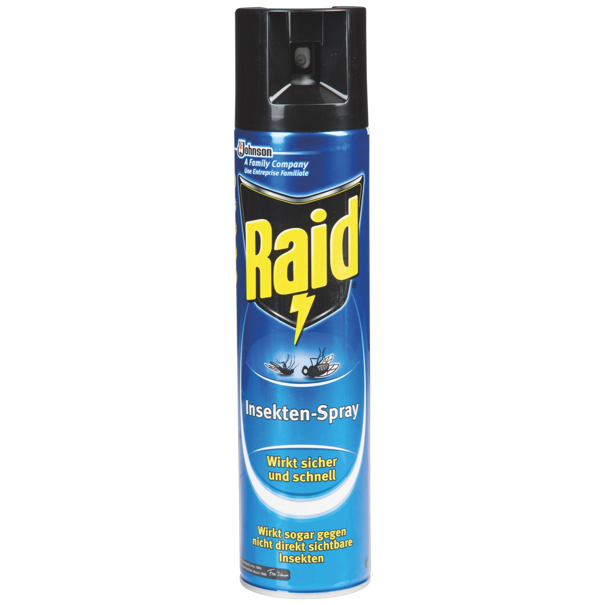 Raid Insect Spray 400ml